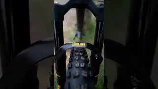&Ouml;hlins Status 🔥 THIS is the dream!