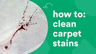 Best Way to Clean Carpet Stains | Tested on Coffee, Wine & Pets!