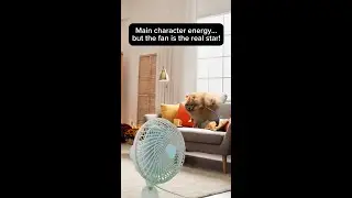 Summer Heat Safety Tips