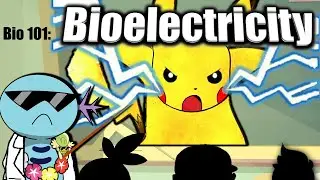 How Pok&eacute;mon Make Electricity?! &bull;&bull; Pok&eacute;mon Biology 101