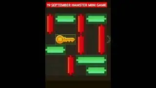 19 September Hamster  Mini Game 2024