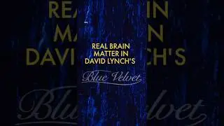 Real Brain Matter in David Lynch's Blue Velvet | Behind the Scenes of Blue Velvet