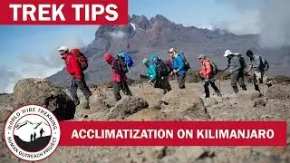 Acclimatization while Climbing Kilimanjaro | Trek Tips