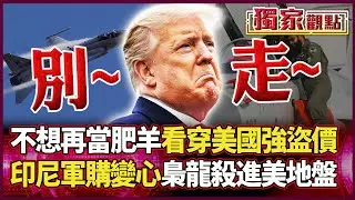 川普的肥羊不買單了？ 印尼看穿「美國強盜價」軍購大變心 中巴梟龍闖進美系地盤｜#獨家觀點 #環球大戰線 #寰宇全視界 @寰宇全視界