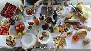 Organicity  - Taste nature, be EU Organic (short version)
