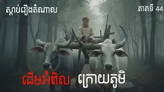 ដើមអំពិលក្រោយភូមិ 