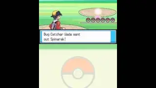 Storm Silver Egglocke
