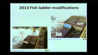 Monitoring Movement and Passage of Fish in the Carmans River