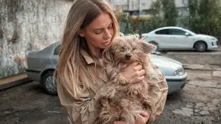 Terrified Matted Dog Grabbed my Hand and Begged to Save Him... Watch What Happened Next
