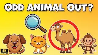 Find the Odd Animal Out 🐾 40 Fun Animal Puzzles & Brain Teasers | Spot, Guess & Remember!