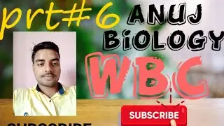 white blood cells (wbc)or leucocytes.    and its type