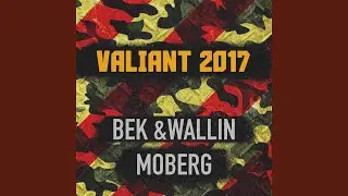 Valiant 2017