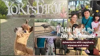Animal Encounters at Yoki's Farm! | Capybara, Alpaca, Birds, and many more