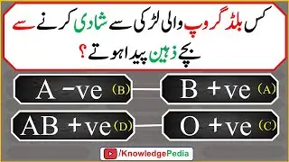 Islamic Common Sense Paheliyan in Urdu | Riddles in Hindi | Knowledge Pedia | islamic Questions 695