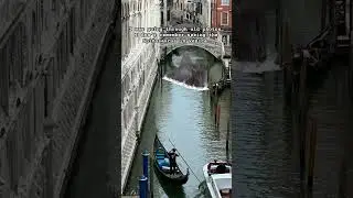The Spinosaurus Spotted In Venice