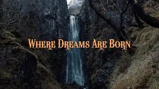 Where Dreams Are Born
