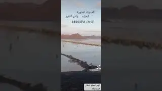 سيول وادي النقيع الحلبه المدينة المنورة اليتمه