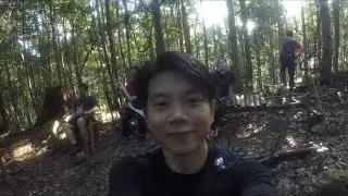 Mount Pulai