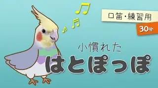 【口笛・練習用】小慣れた「はとぽっぽ」【難易度★★☆】※途中広告なし　#オカメインコ #トレーニング
