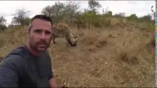Bone Crushing Jaws | The Lion Whisperer