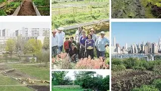 Paisaje urbano y periurbanos productivos
