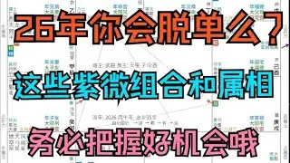 26年容易脱单的紫微组合和属相。