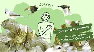 Scarves - 