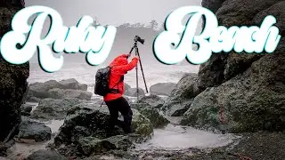 Soaked at Ruby Beach #photography #vlog