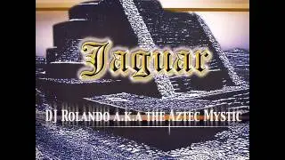 Dj Rolando - Jaguar (Mayday Remix by Derrick May)