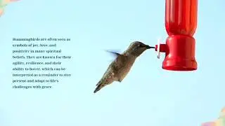 Calming Piano & Hummingbirds   Relaxing Music for Stress Relief and Deep Sleep