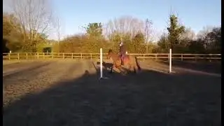 Caroline Fry & Bouncer 1
