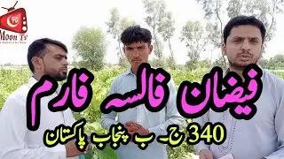Faizan falsa farm|moon tvs|falsa farming in pakistan|best business|falsa farm340|falsa juice recipe|
