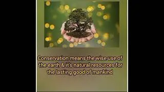 World Nature Conservation Day,2021