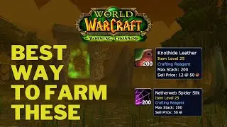 Unlimited and uncontested farm in Classic TBC - Leather and Netherweb Spider Silk
