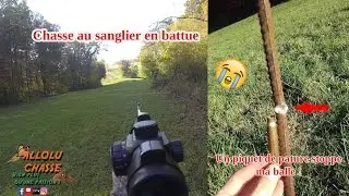 Chasse sangliers / Un piquet de p&acirc;ture stoppe ma balle tir&eacute;e sur un gros sanglier !