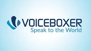 Learn about VoiceBoxer!