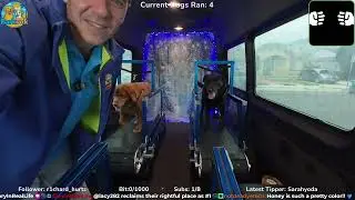 Mobile dog gym (Part 6/32)