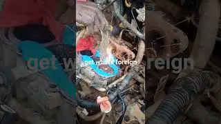 Removing a bot broken in a engine block.