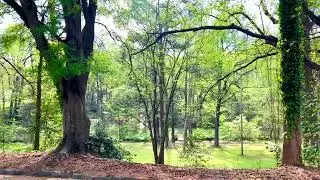 Capitol View Atlanta Real Estate