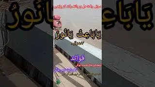 Ya Baes o Ya Noor u ka powerful wazeefa
