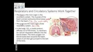 Regents Review: Making Connections State Lab
