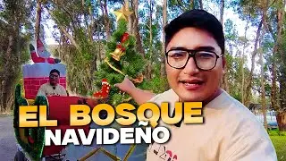 ENCONTR&Eacute; UN BOSQUE NAVIDE&Ntilde;O - DAVICO