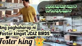ANG PAGHAHARAP NI FOSTER KING AT 