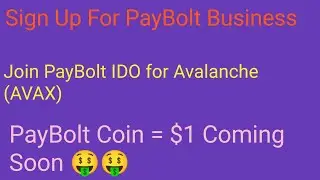 PayBolt Business | PayBolt Coin News Today | PayBolt IDO | PayBolt Staking | PayBolt Crypto