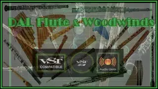The Blarney Pilgrim (Jig) DAL Flute, Syntheway Strings, Chordophonet Virtual Harp VST (Win MacOSX)