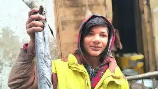 Machli Mandi Maryam Tower Urdu Bazaar Lahore Pakistan I #VLOG-1