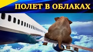 Ил-2 Штурмовик БЗС. Полет в многоуровневых облаках. Графика и красота в Ил2 БЗХ!