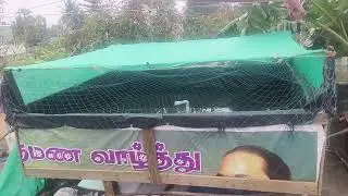 How to setup Aquaponics farm at home #integrated #backyardfarm #gardening #hydroponics #organic 