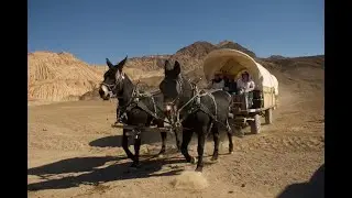 Riding with the Death Valley Wagon Train