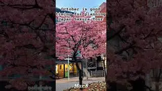 October is good timing for planning Japan Sakura tour on next year! #japantravel